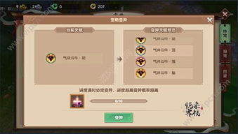 探索宠物世界的奥秘：喵呜次元官方网站领路者——为喵星人们的幸福生活打造专属领地