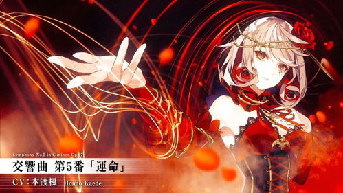 (宿命回响中的钢琴曲)宿命回响弦上的咏叹官网：探寻纷繁世界背后的奇迹与秘密