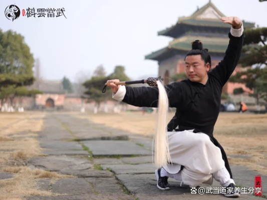 详解道士角色培养：我如何引导我的侠客武当逐步掌握并精通太极剑技巧