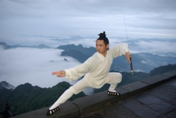 详解道士角色培养：我如何引导我的侠客武当逐步掌握并精通太极剑技巧