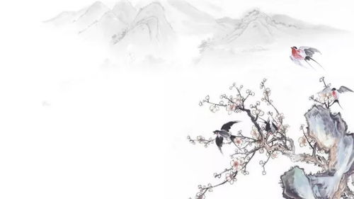 (水墨畅想)畅享无广告的水墨记：尽情沉浸于纯粹的艺术体验中