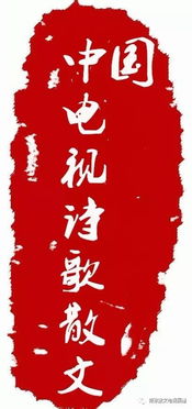 (6.怨偶天成 作者:红酒杯里装狗血)怨偶天成：在红酒杯里装着的狗血人生与意外爱情的纠葛