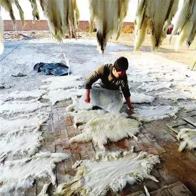 深度解析与体验：《零下记忆2》试玩版引爆游戏市场，探寻其赢得玩家喜爱的秘诀