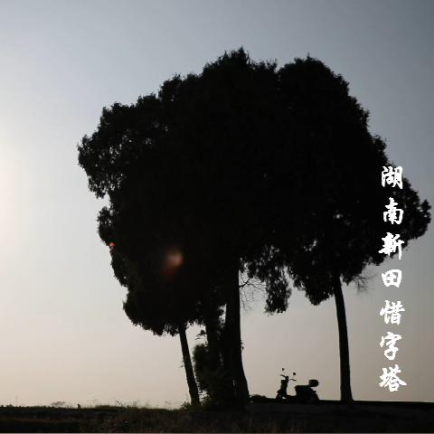 (季节物语是什么意思)深度探索：季节物语的涵义及其在文学和艺术中的独特表现方式