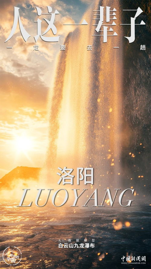 (为谁而炼金?)为谁而炼金2024：探索自我、追寻梦想与感悟人生的独特旅程