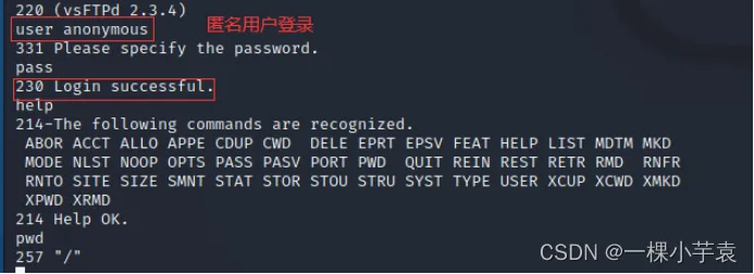 (非匿名ftp)非匿名指令是否将继续上架？未来发展前景如何？
