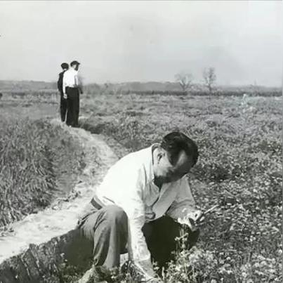 (王国的建立百度百科)王国的崛起：从平凡小镇到辉煌帝国的传奇故事与启示