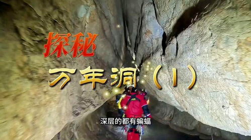 (勇于攀爬)勇敢无畏，攀爬侠：探索未知领域的冒险之旅与心灵成长