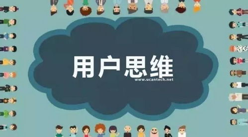 小鸟爱飞翔：从入门技巧到进阶策略的全方位攻略，让你飞得更高更远