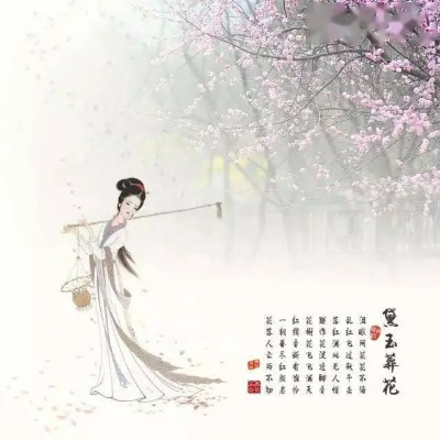 (在细雨里纷飞是什么歌)在细雨纷飞的春日中，感悟葬花吟的悲怆与生命的真谛